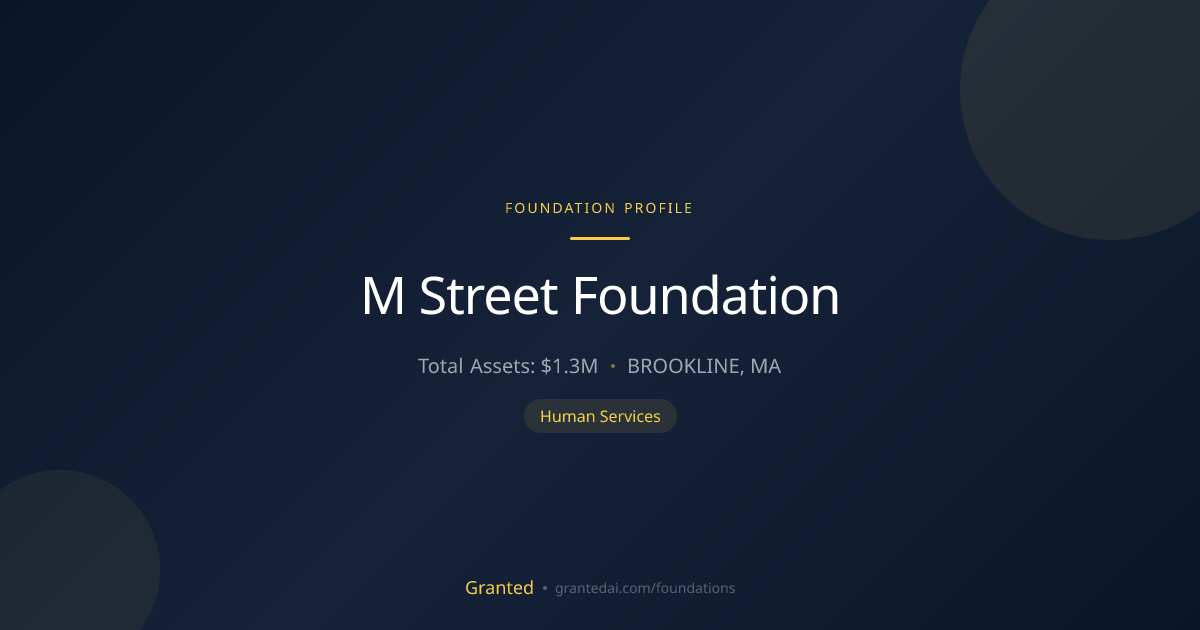 M Street Foundation | Granted AI