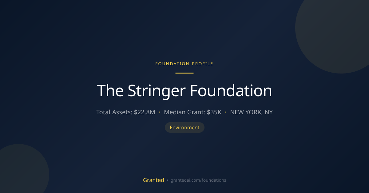 The Stringer Foundation | Granted AI