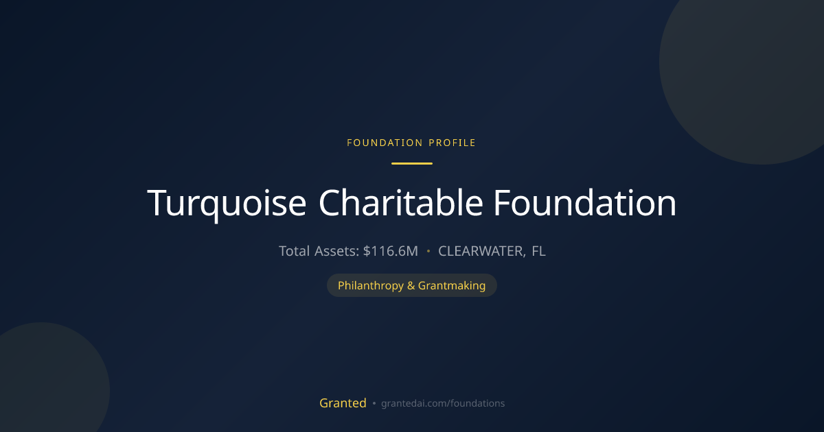 Turquoise Charitable Foundation | Granted AI