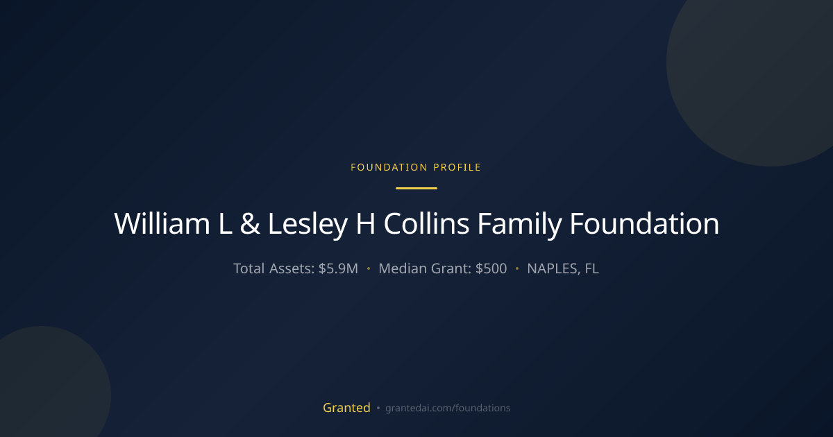 William L & Lesley H Collins Family Foundation | Granted AI