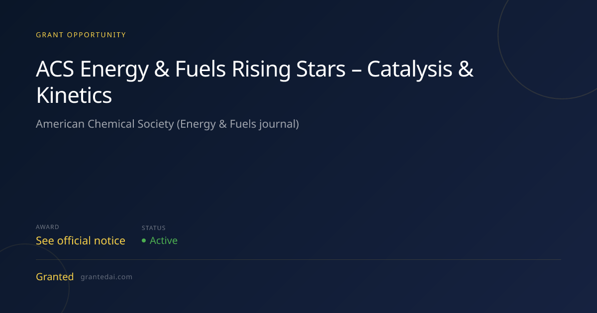 ACS Energy & Fuels Rising Stars – Catalysis & Kinetics (2026) | Granted AI