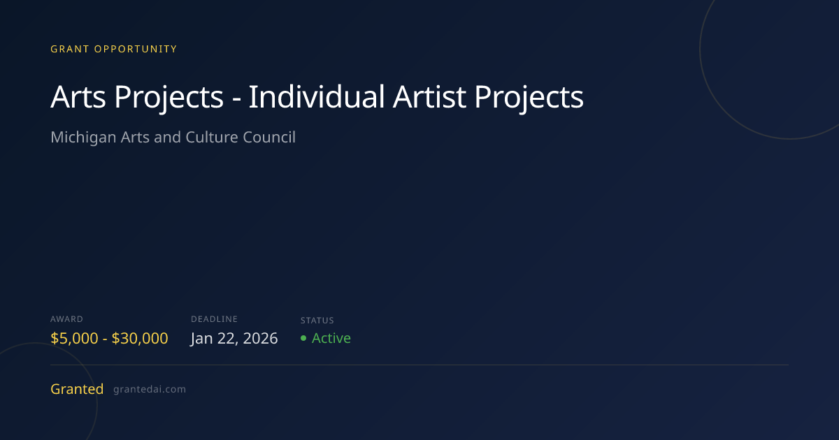 Arts Projects - Individual Artist Projects (2026) | Granted AI