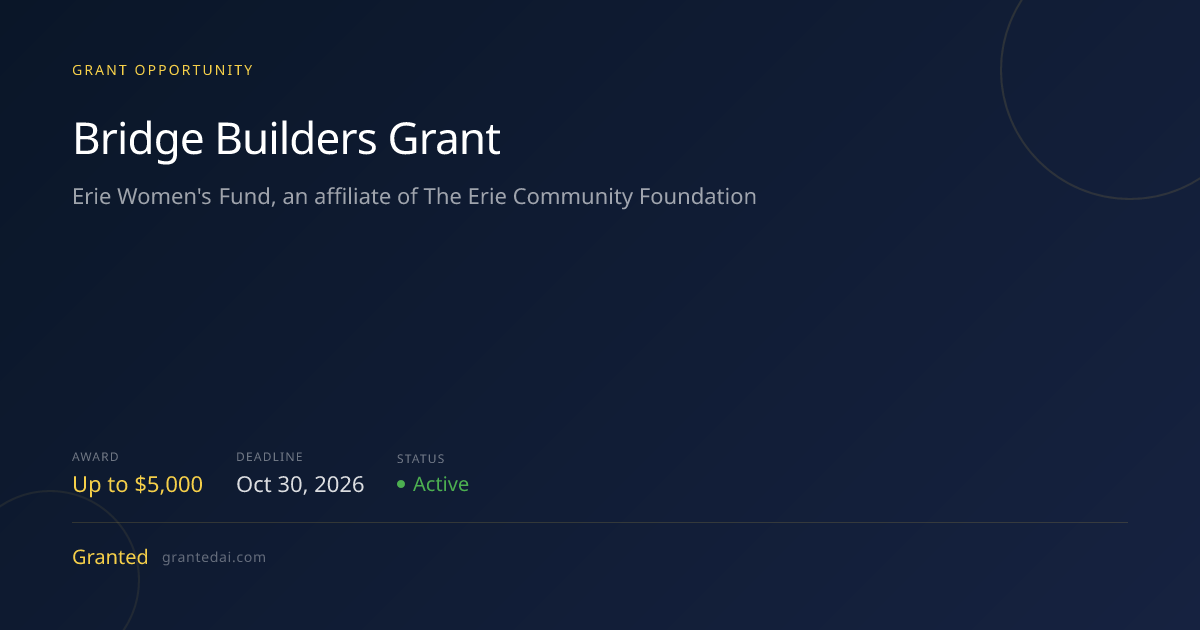 Bridge Builders Grant (2026) | Granted AI