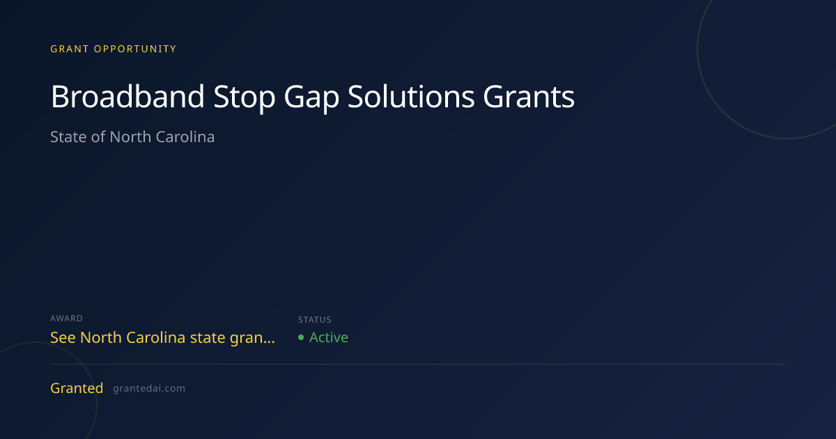 Broadband Stop Gap Solutions Grants (2026) | Granted AI