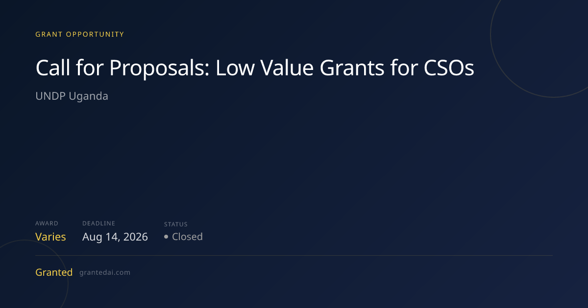 Call for Proposals: Low Value Grants for CSOs (2026) | Granted AI