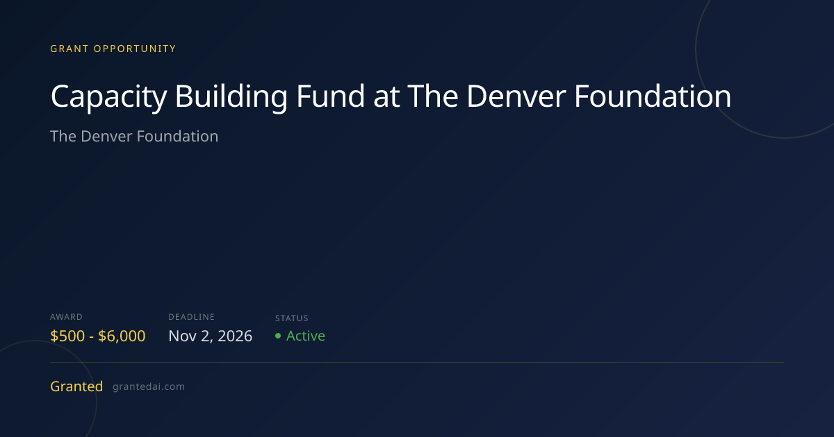 Capacity Building Fund at The Denver Foundation (2026) | Granted AI