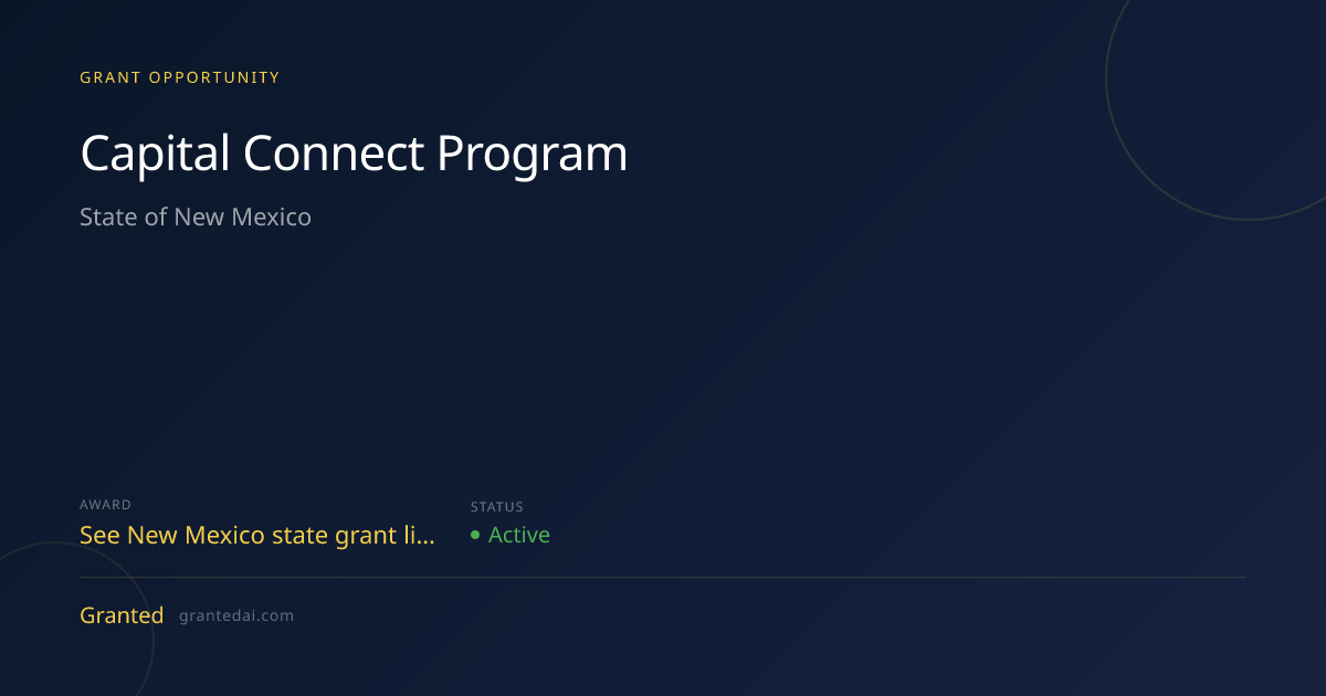 Capital Connect Program (2026) | Granted AI