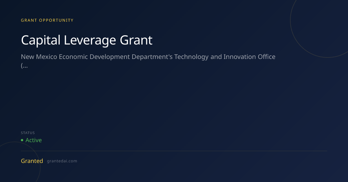 Capital Leverage Grant (2026) | Granted AI