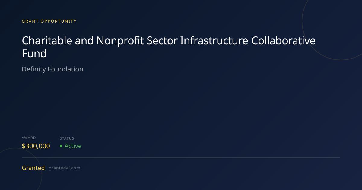 Charitable and Nonprofit Sector Infrastructure Collaborative Fund (2026 ...