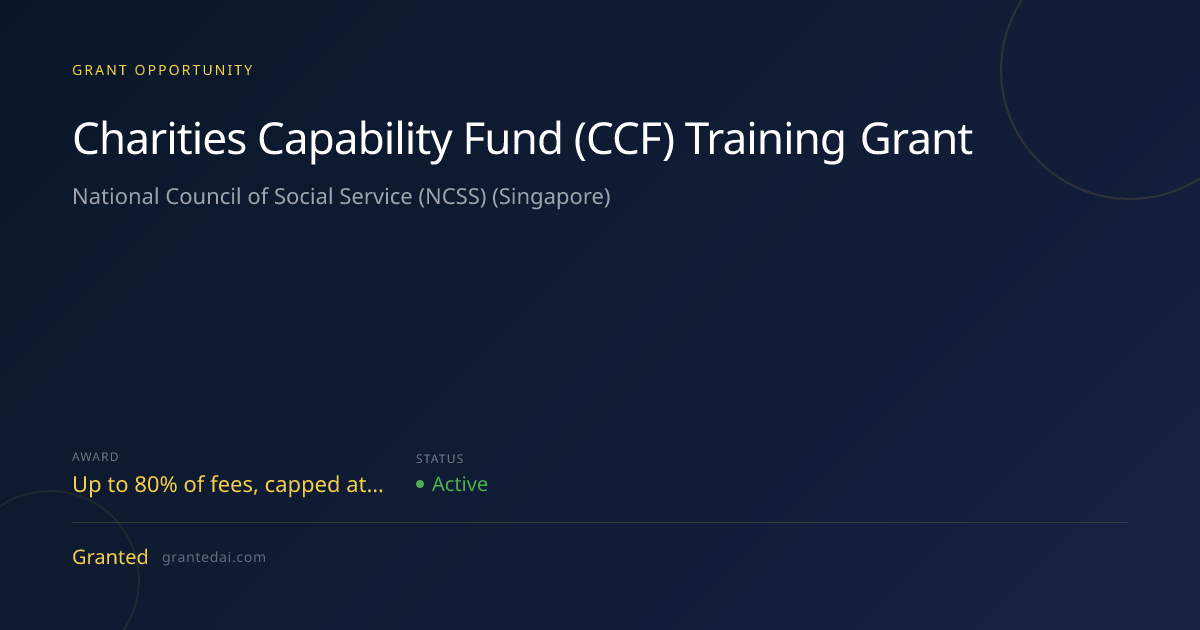 Charities Capability Fund (CCF) Training Grant (2026) | Granted AI