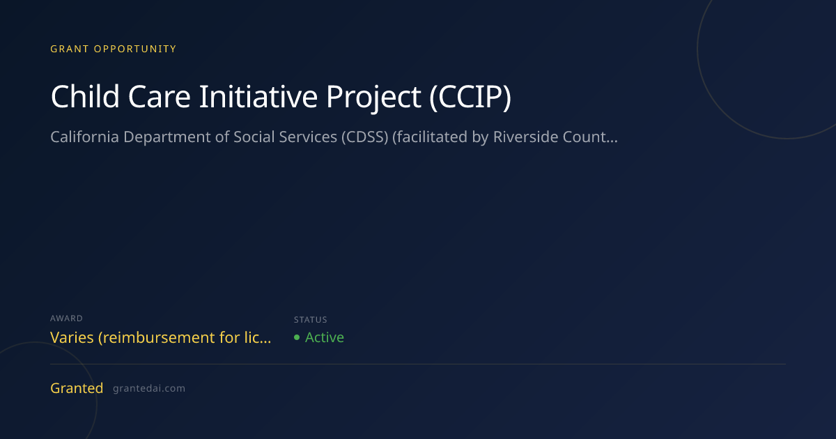 Child Care Initiative Project (CCIP) (2026) | Granted AI