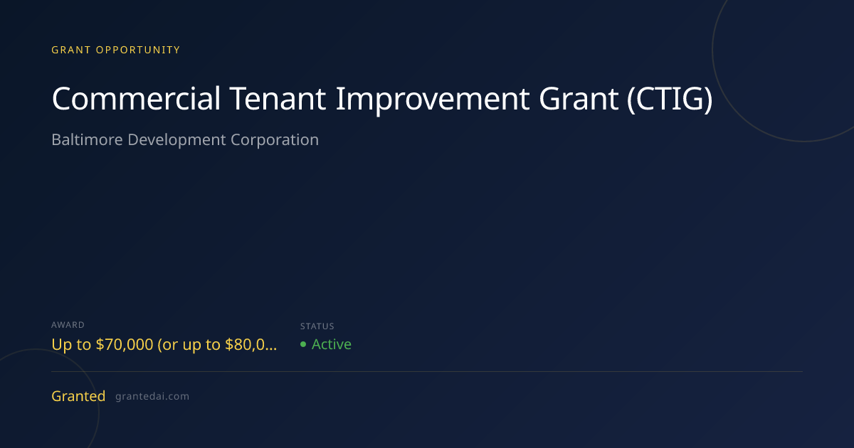 Commercial Tenant Improvement Grant (CTIG) (2026) | Granted AI