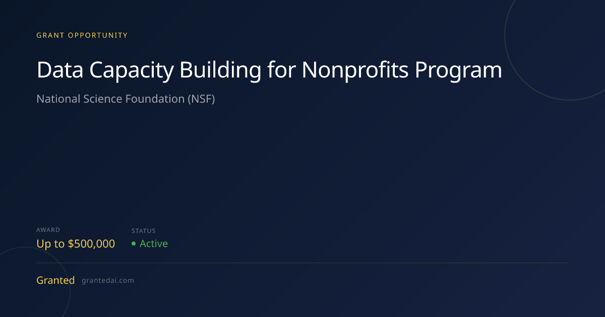 Data Capacity Building for Nonprofits Program (2026) | Granted AI