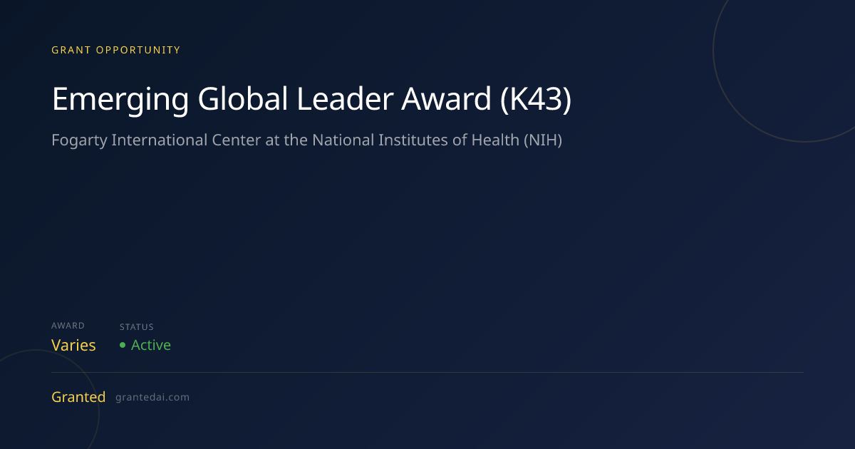 Emerging Global Leader Award (K43) (2026) | Granted AI