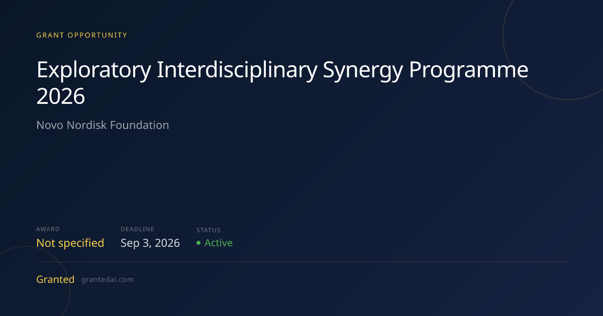 Exploratory Interdisciplinary Synergy Programme 2026 (2026) | Granted AI