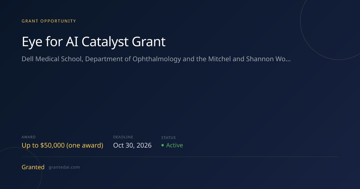 Eye for AI Catalyst Grant (2026) | Granted AI