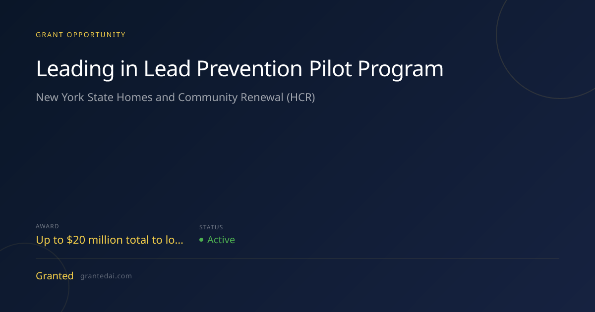 Leading in Lead Prevention Pilot Program (2026) | Granted AI