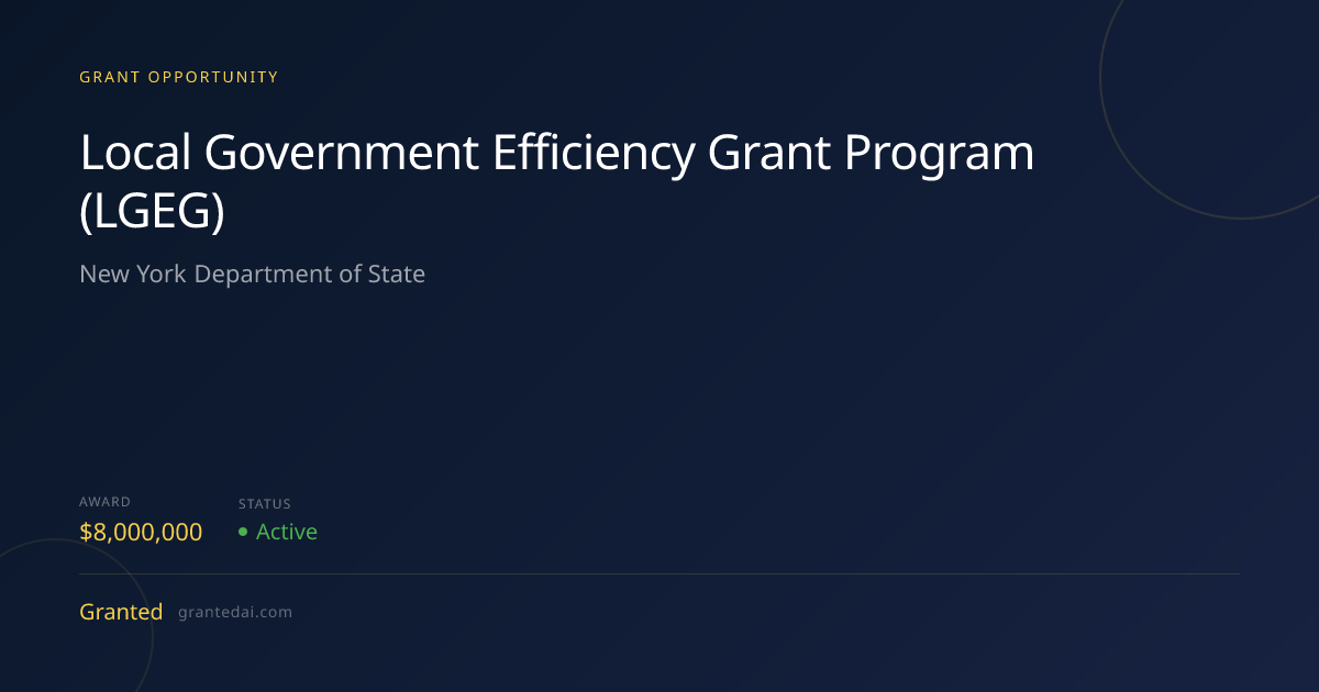 Local Government Efficiency Grant Program (LGEG) (2026) | Granted AI
