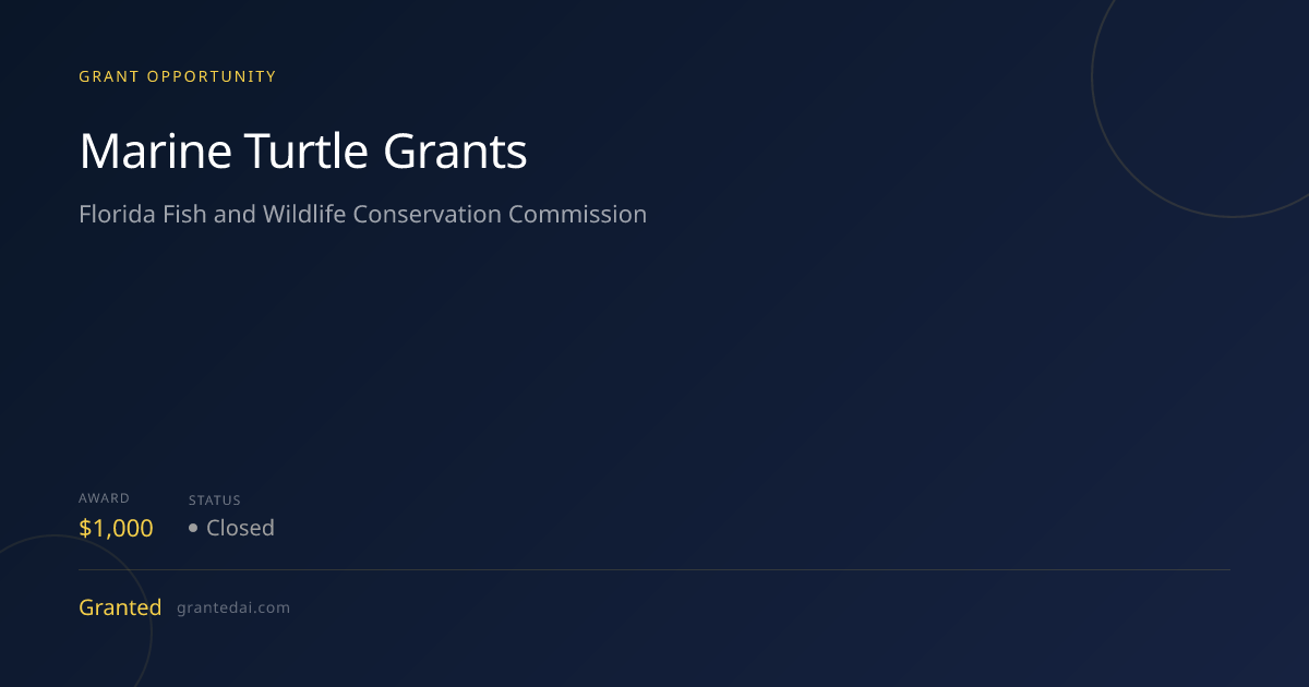 Marine Turtle Grants (2026) | Granted AI