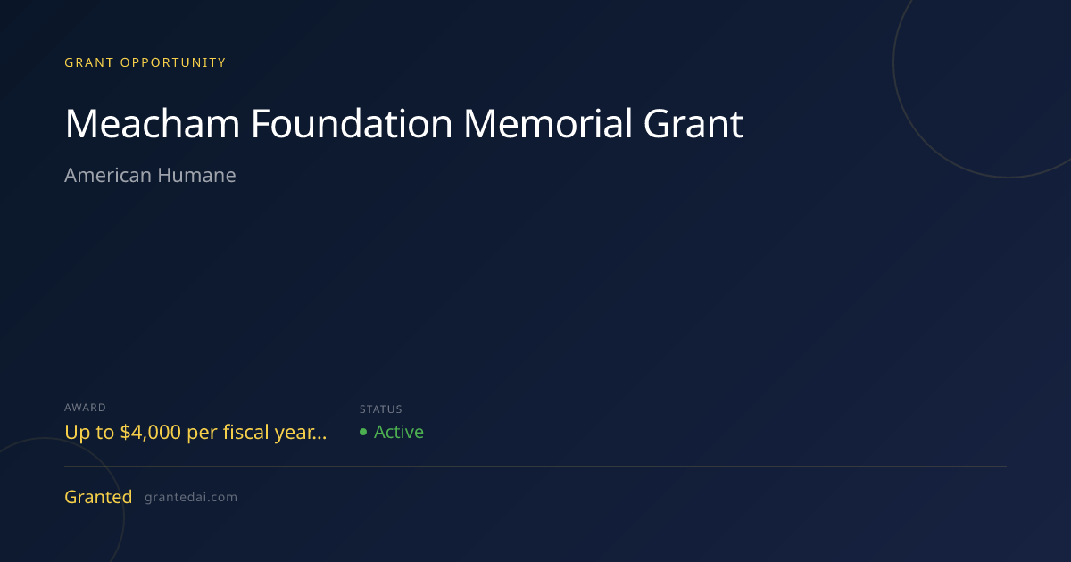 Meacham Foundation Memorial Grant (2026) | Granted AI