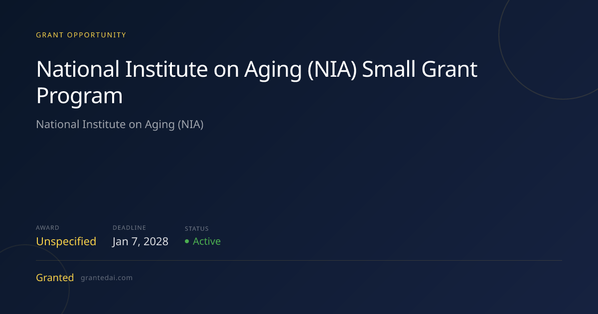 National Institute on Aging (NIA) Small Grant Program (2028) | Granted AI