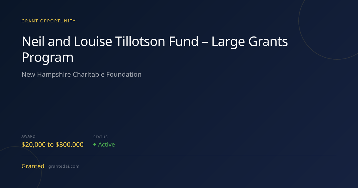 Neil and Louise Tillotson Fund – Large Grants Program (2026) | Granted AI