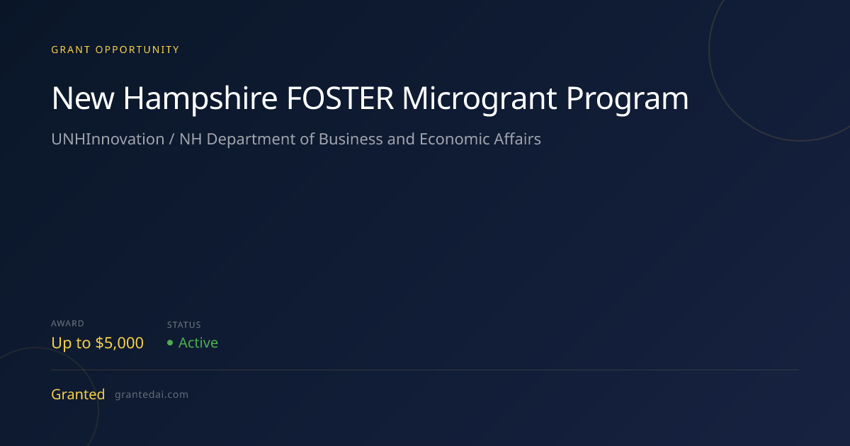 $5K for Businesses: New Hampshire FOSTER Microgrant Program | Granted AI