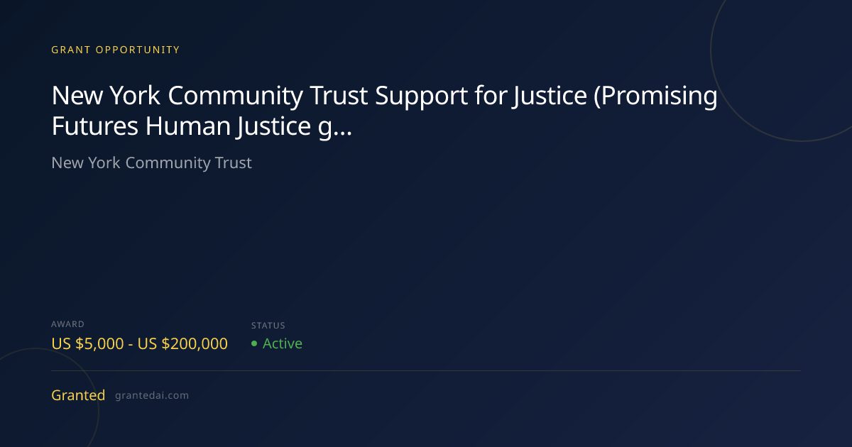 New York Community Trust Support for Justice (Promising Futures Human ...