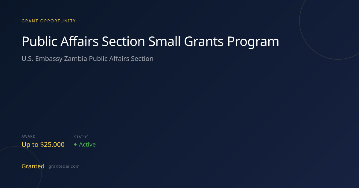 Public Affairs Section Small Grants Program (2026) | Granted AI