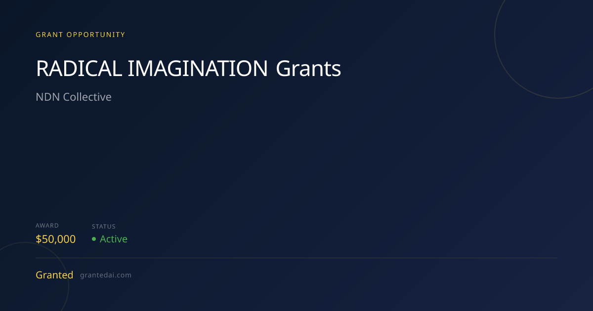 RADICAL IMAGINATION Grants (2026) | Granted AI