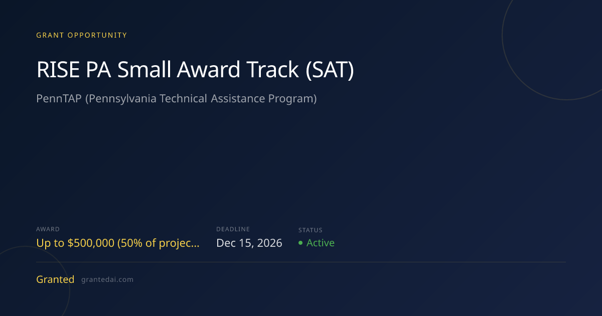 RISE PA Small Award Track (SAT) (2026) | Granted AI