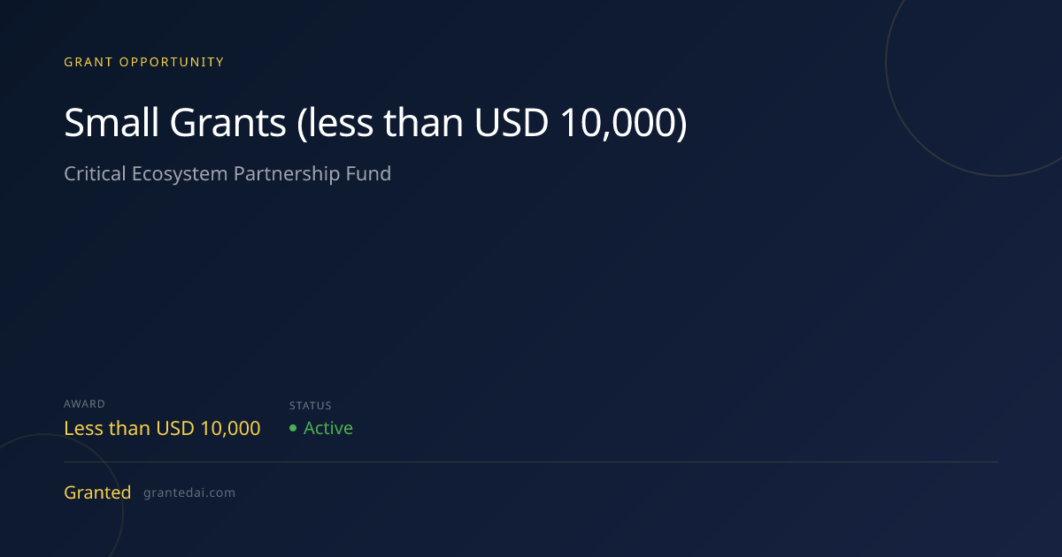 Small Grants (less than USD 10,000) (2026) | Granted AI