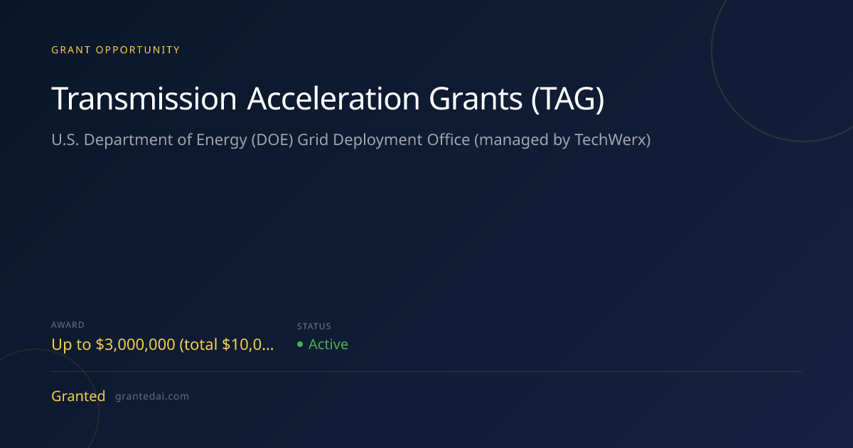 Transmission Acceleration Grants (TAG) (2026) | Granted AI