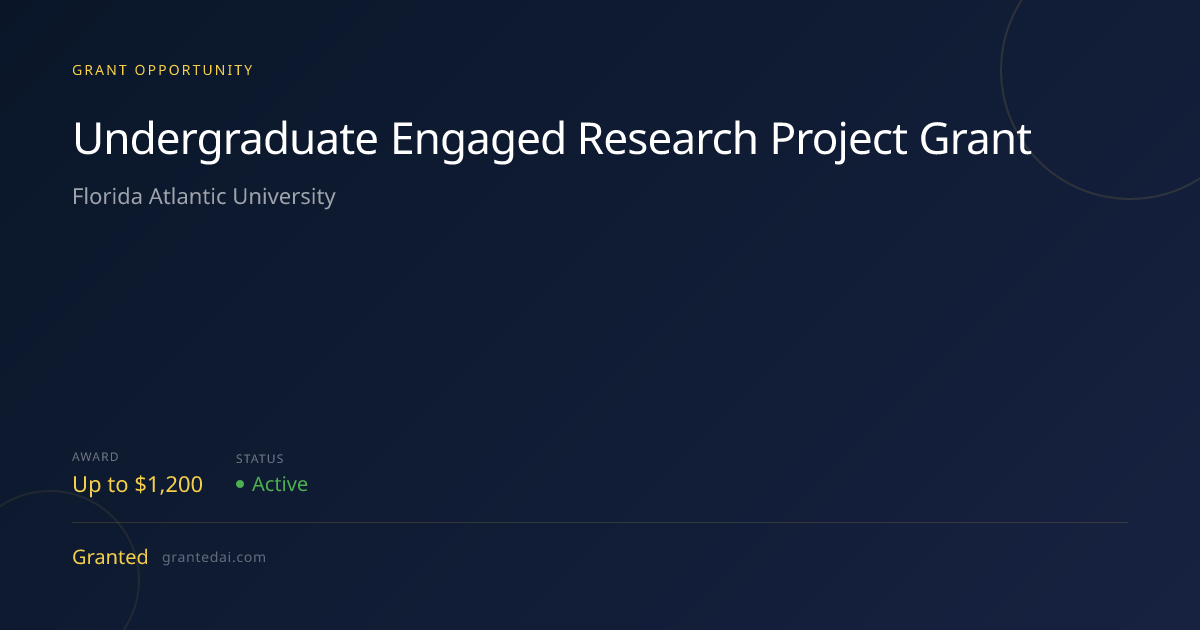 Undergraduate Engaged Research Project Grant (2026) | Granted AI