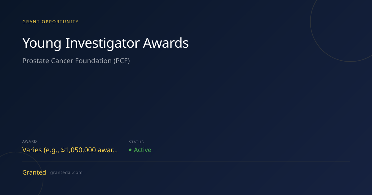 Young Investigator Awards (2026) | Granted AI